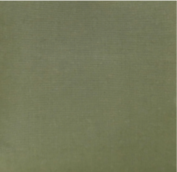 Canvas Green Fabric